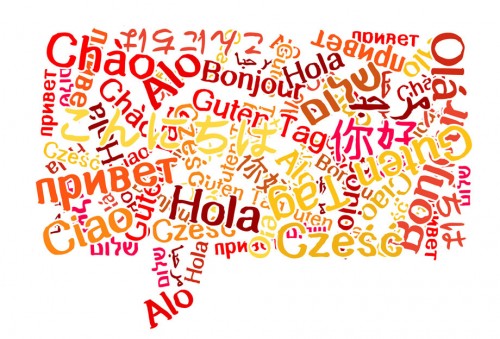 detectar idioma wordpress
