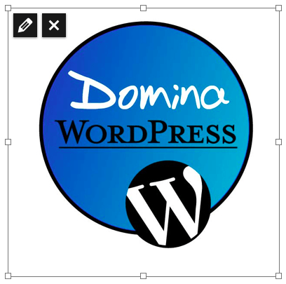 icono editar imagen wordpress 3.9