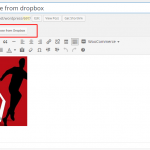 Botón para inserta desde Dropbox
