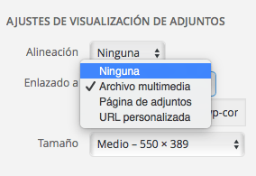 enlazar imagen wordpress