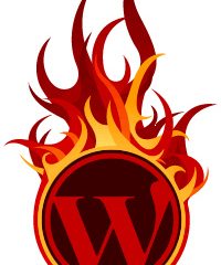 WordPress 2.3.2 – Disponible la RC