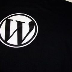 ¿Que WordPress elijo?