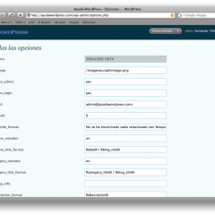 Accede a todas las opciones de WordPress