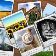 Galería de imágenes en themes antiguos