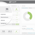 updates feature managewp