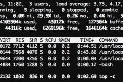 Guías de rendimiento y optimización para WordPress