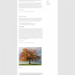 Twenty Twelve author