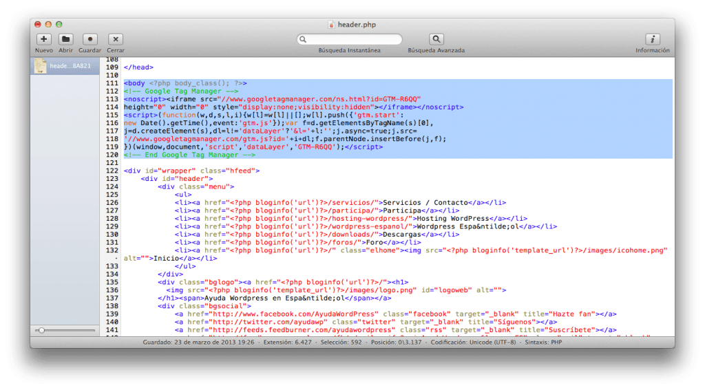 google tag manager wordpress 5