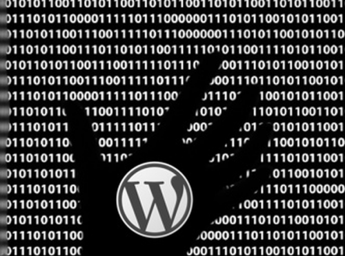 wordpress hacking