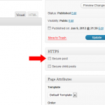 asegurar post wordpress