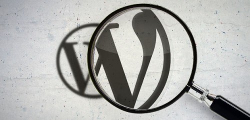 buscador avanzado wordpress
