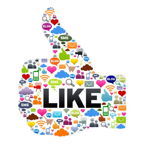 social media WordPress