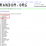 RANDOM.ORG List Randomizer
