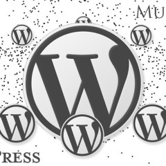 Plugins imprescindibles para WordPress Multisitio