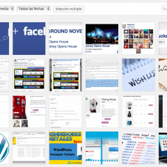 Descarga completa la biblioteca multimedia de WordPress