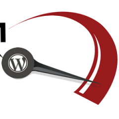 Mantén tu WordPress en forma