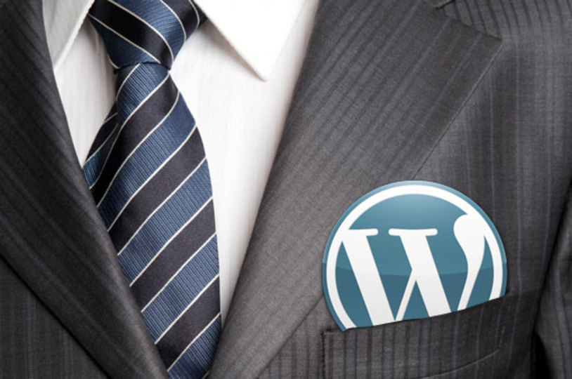 profesional wordpress