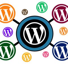 WordPress MultiNetwork ¿sabías que existe?