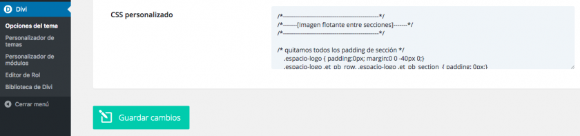 10-css-personalizado-divi