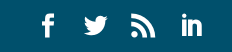 mas-iconos-sociales-en-divi