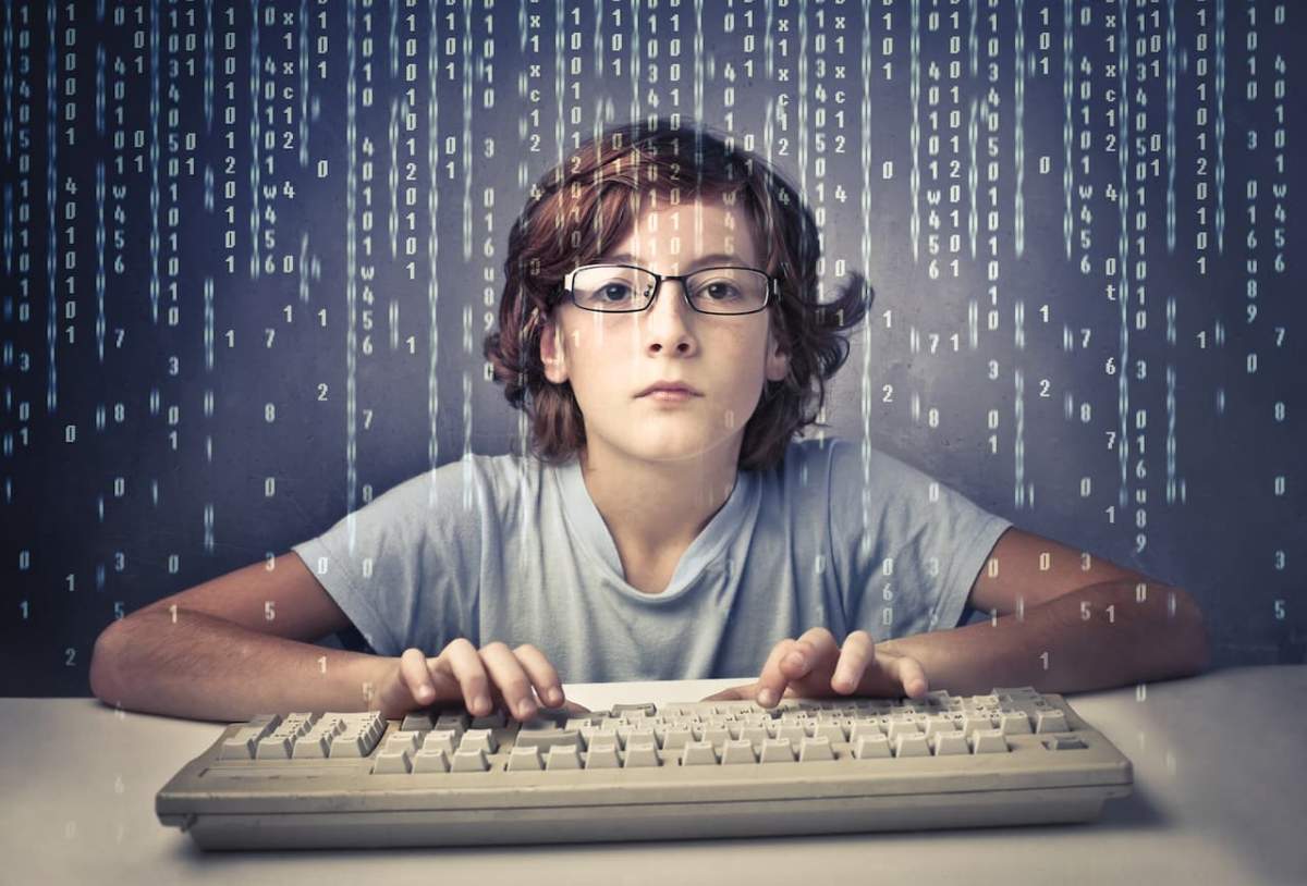 programador junior