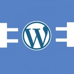 Cómo elegir el plugin WordPress perfecto