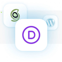 Hosting especializado para Divi