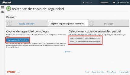 Elegir tipo de backup cpanel