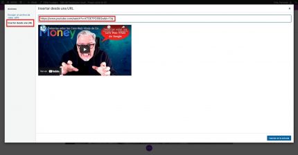 Pegar URL YouTube vídeo Divi