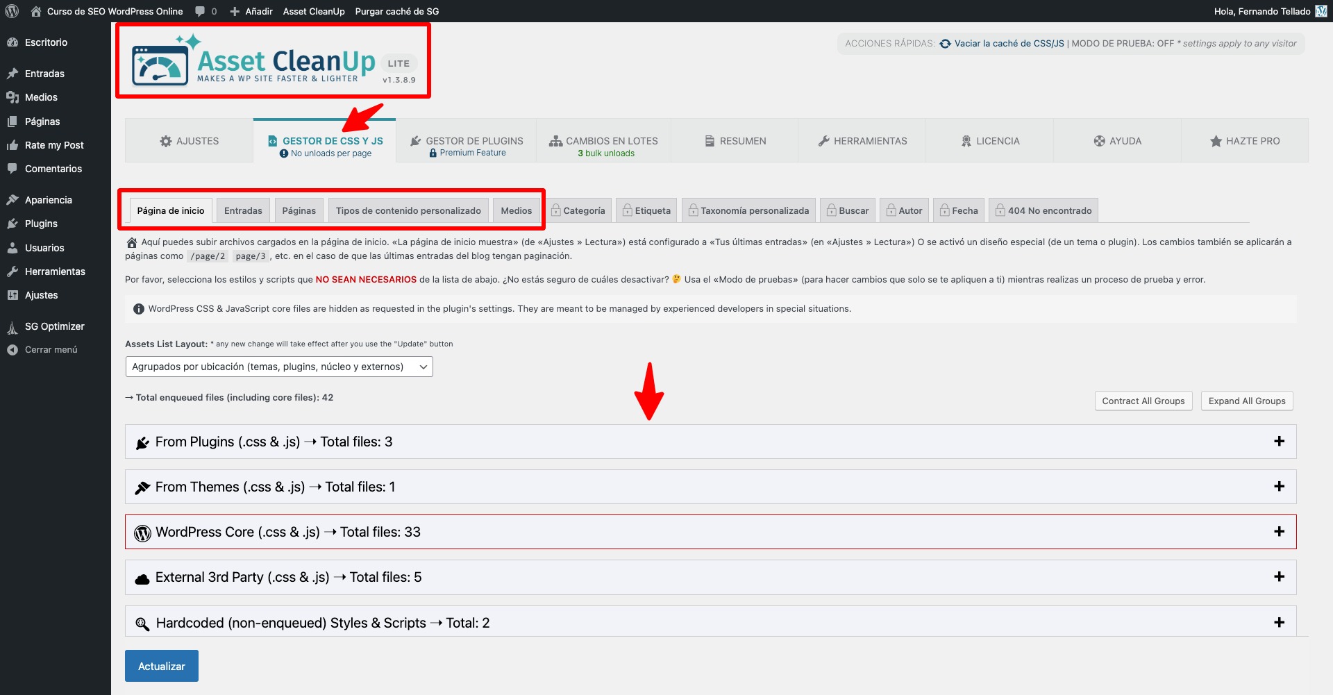 gestor css js asset cleanup