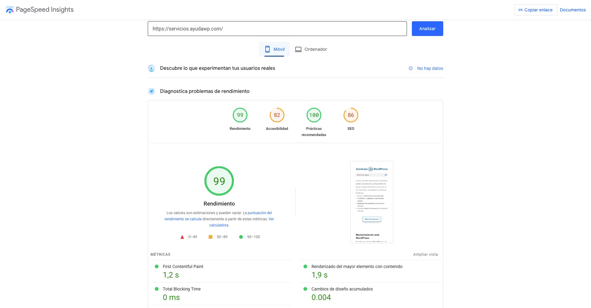 pagespeed insights servicios ayudawp