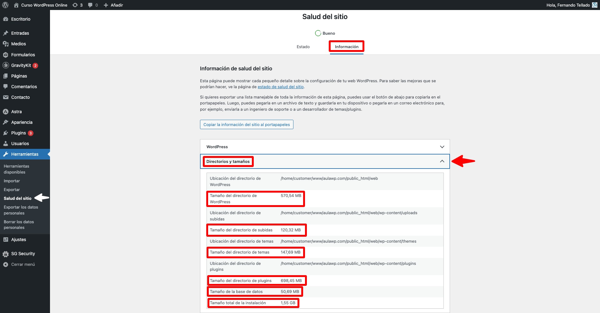 directorios y tamaños salud del sitio wordpress