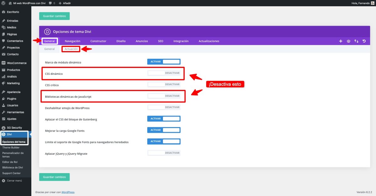 desactivar css y js dinamicos divi