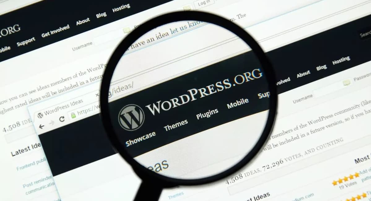 lupa wordpress