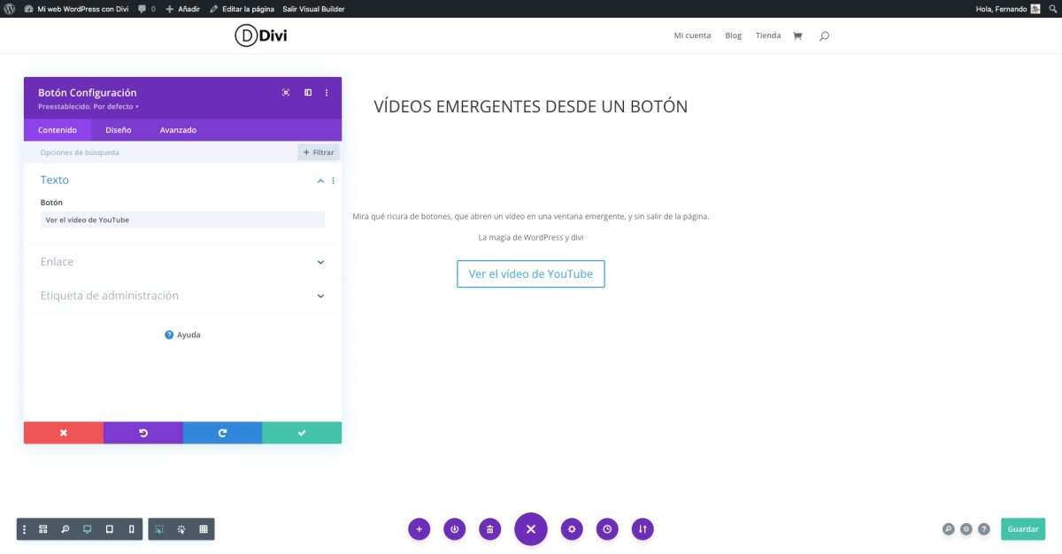 modulo boton con video divi