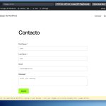 wordpress playground pagina nueva con formulario
