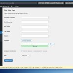 wordpress playground usuarios