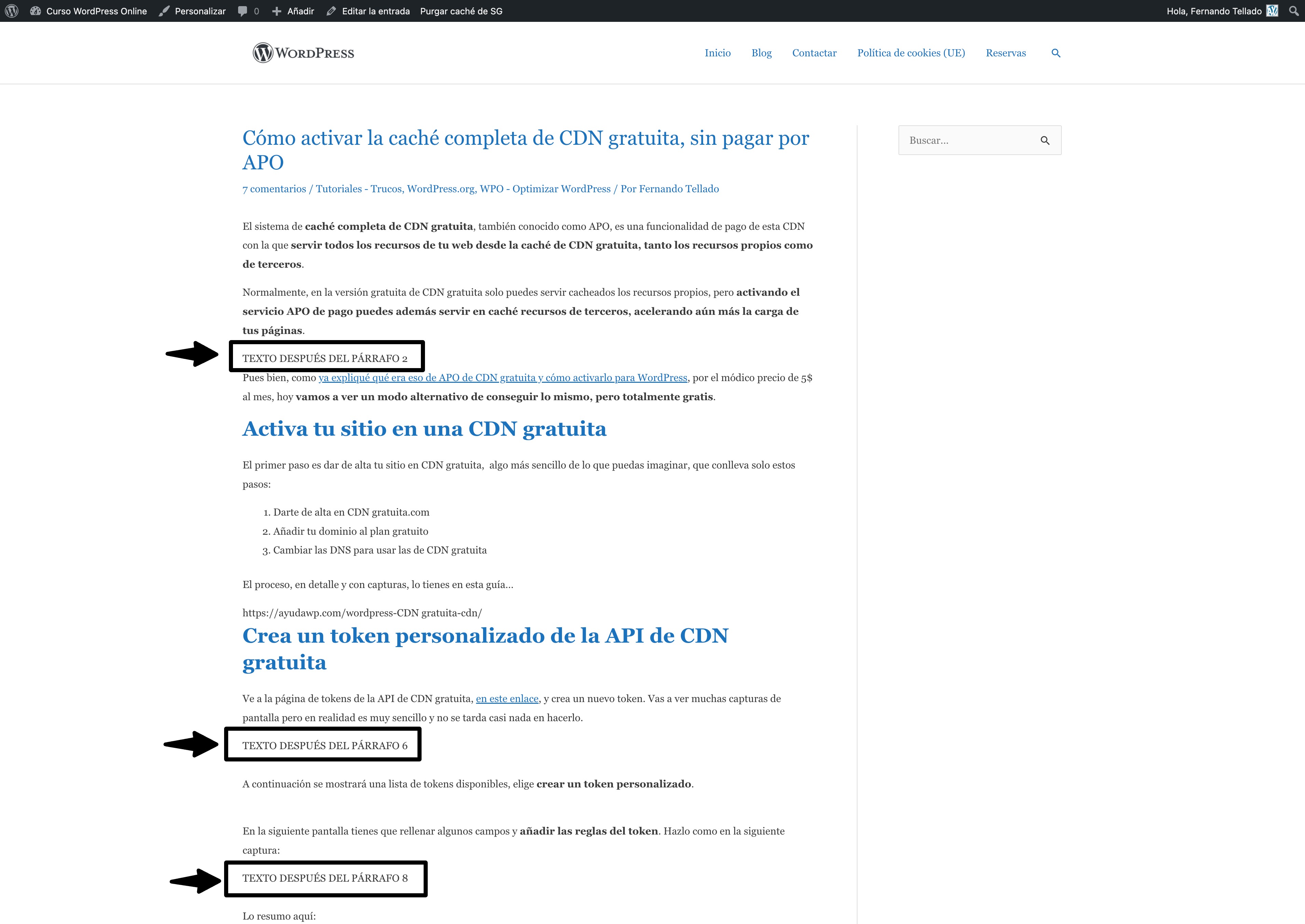 insertar script despues de parrafos wordpress