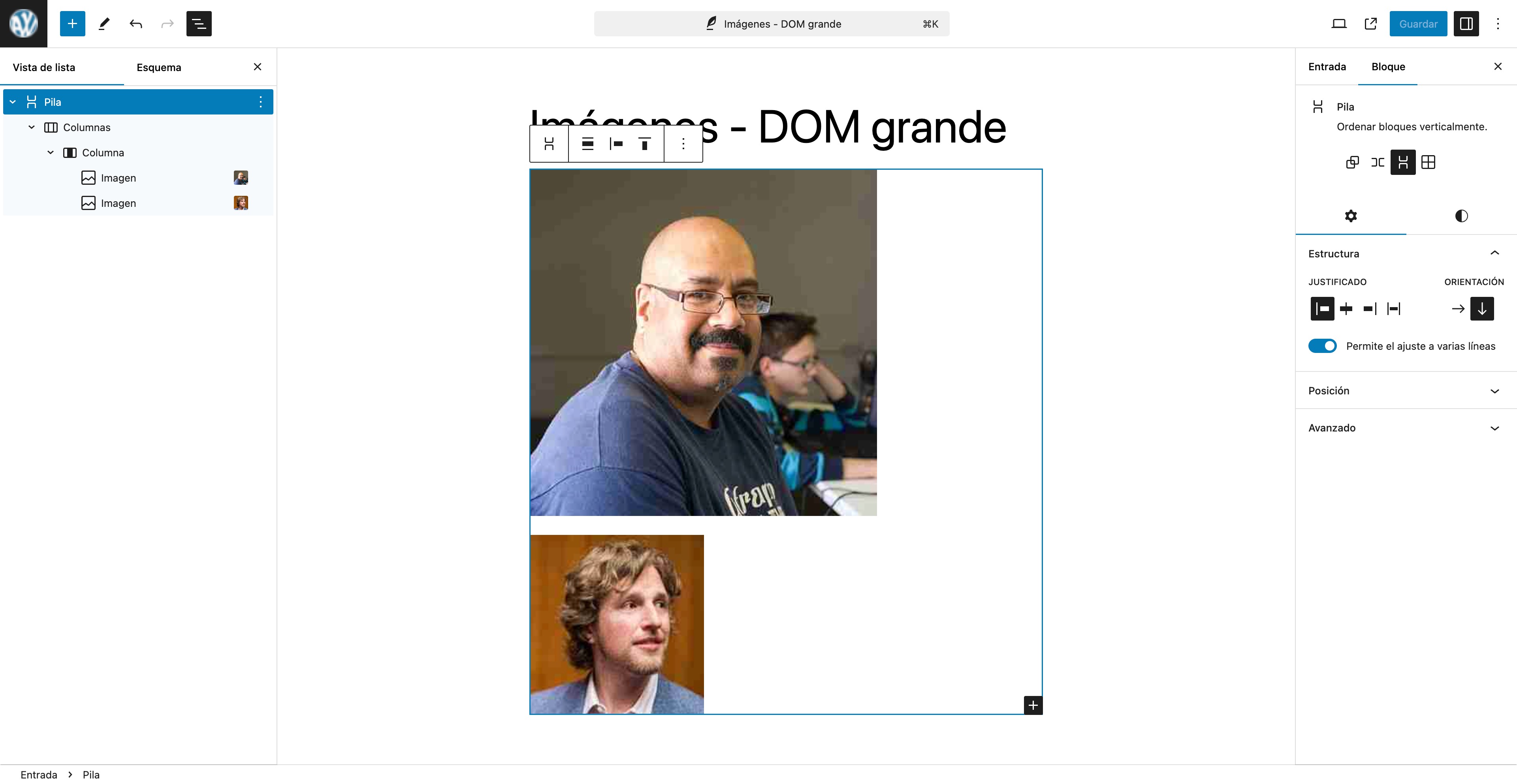 entrada imagenes dom grande