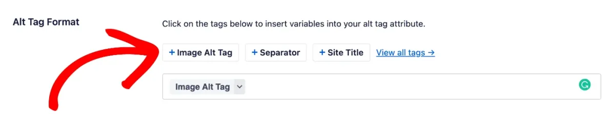 alt tag format field in image seo settings.jpg