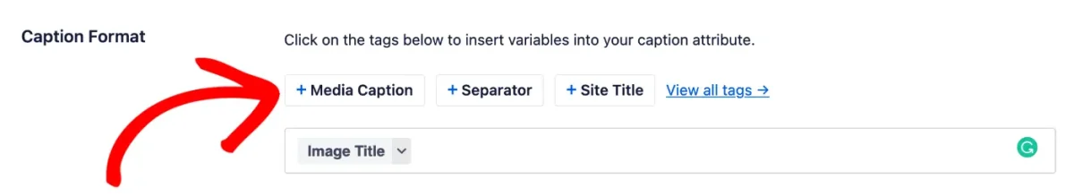 caption format field in image seo settings.jpg