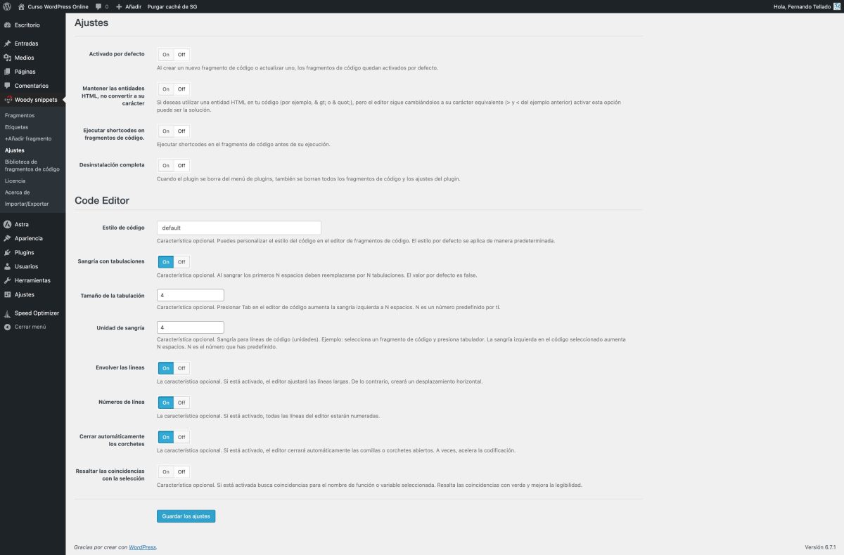 ajustes curso wordpress online — wordpress 22 01 2025 14 43