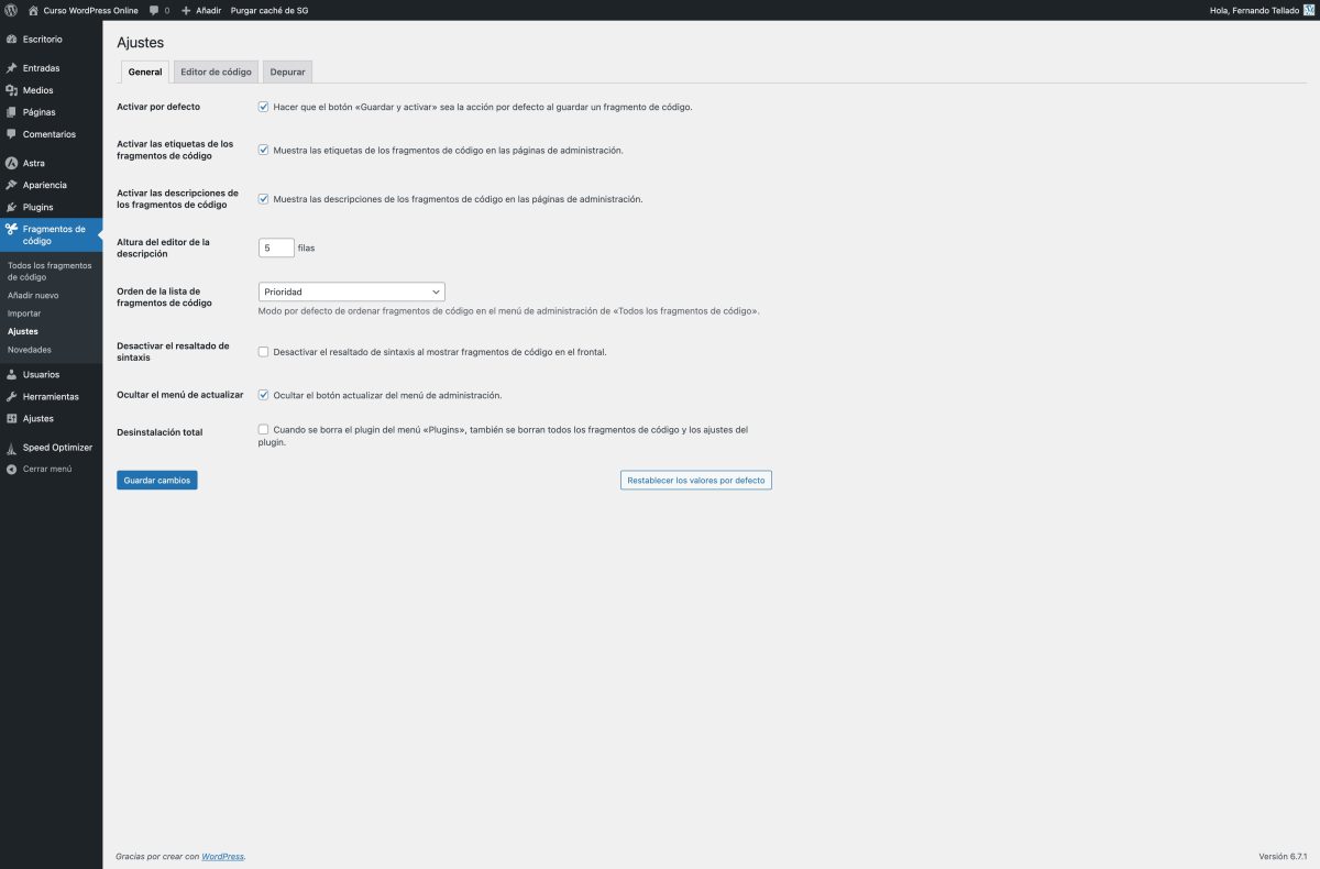 ajustes de los fragmentos de código curso wordpress online — wordpress 22 01 2025 13 26