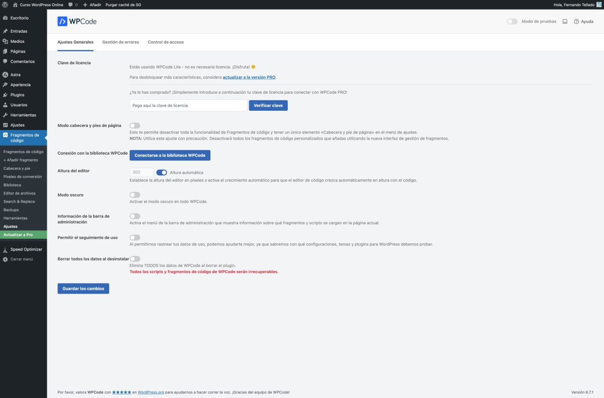 ajustes de wpcode curso wordpress online — wordpress 22 01 2025 14 18