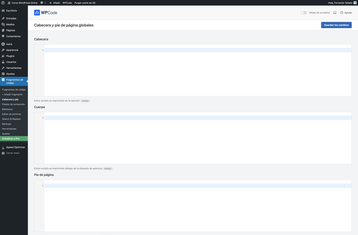 cabecera y pie curso wordpress online — wordpress 22 01 2025 14 17