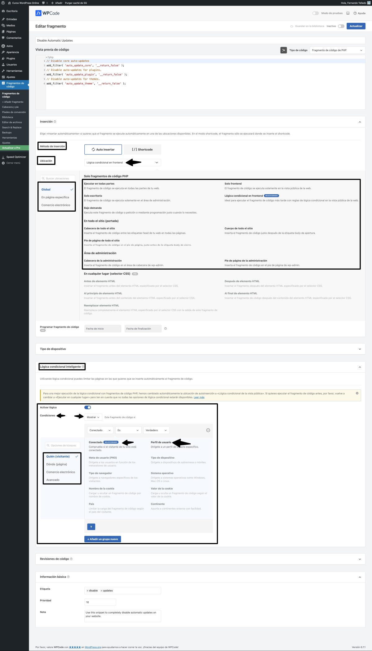 editar el fragmento de código “disable automatic updates” curso wordpress online — wordpress 22 01 2025 14 25