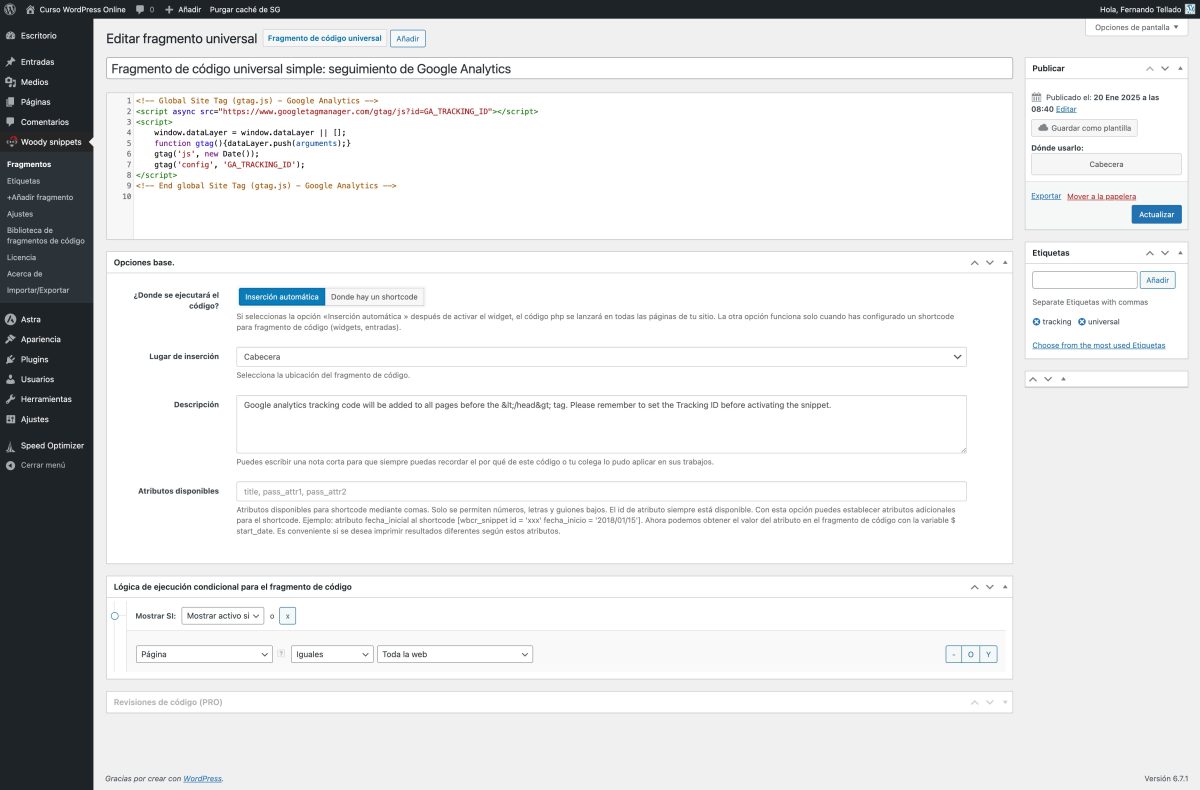 editar fragmento de código «fragmento de código universal simple seguimiento de google analytics» curso wordpress online — wordpress 22 01 2025 17 05