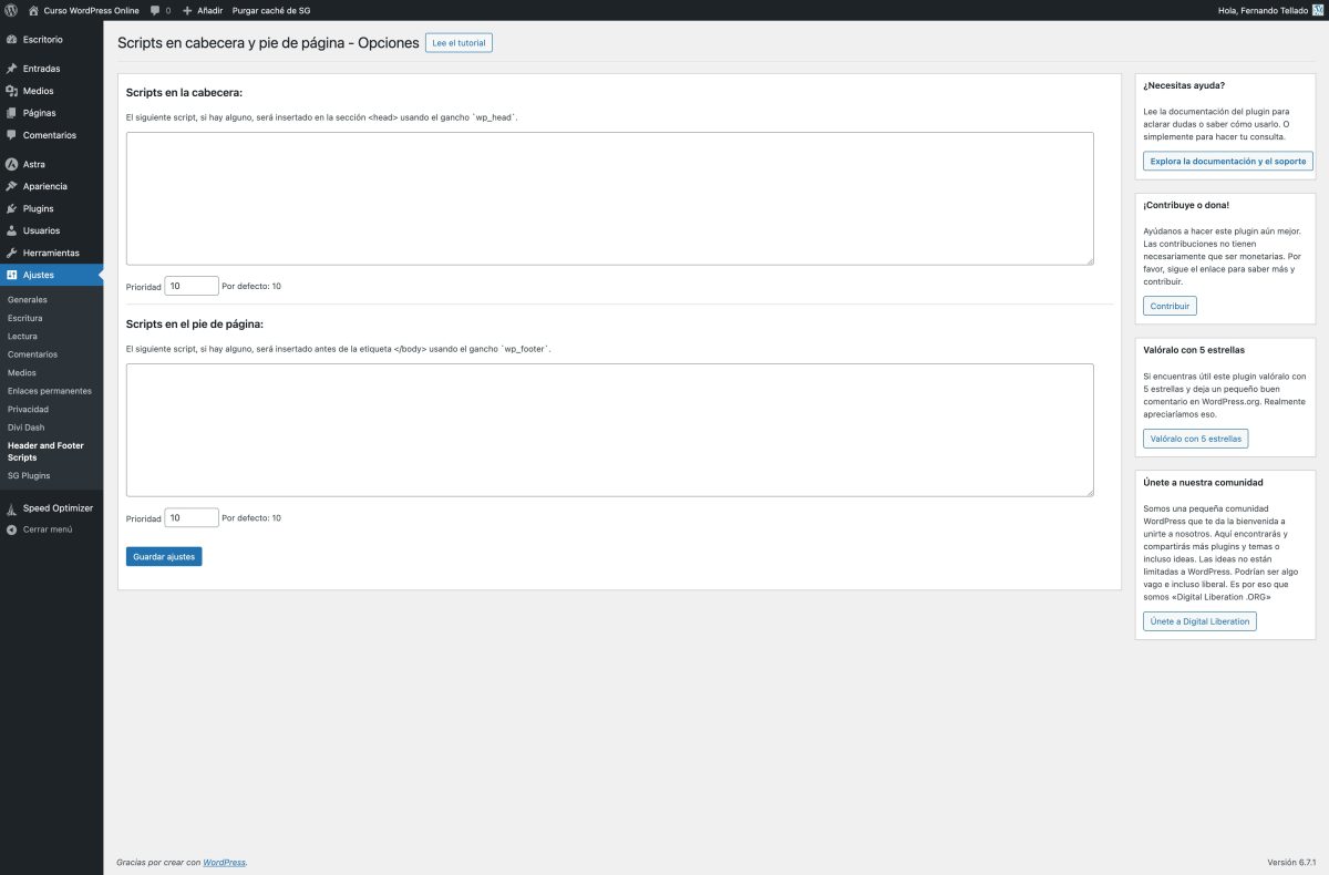 header and footer scripts curso wordpress online — wordpress 22 01 2025 12 28