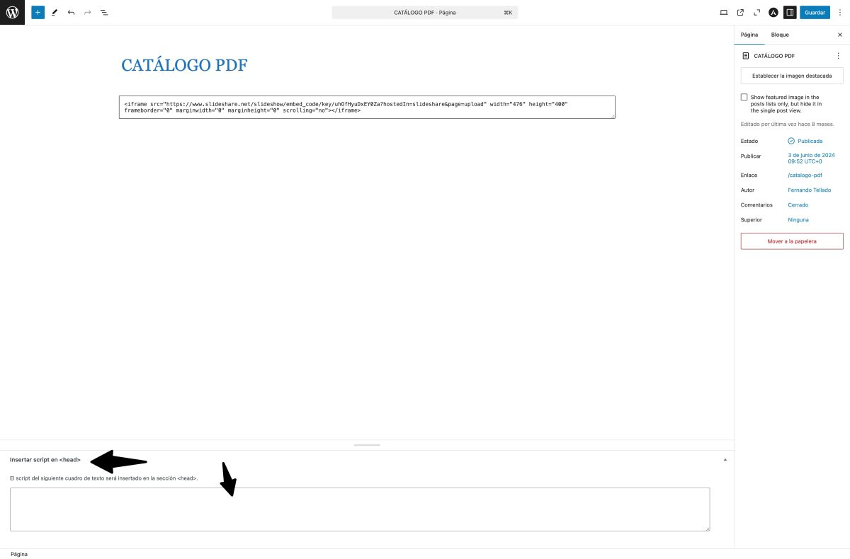 insertar scripts cabecera pagina wordpress
