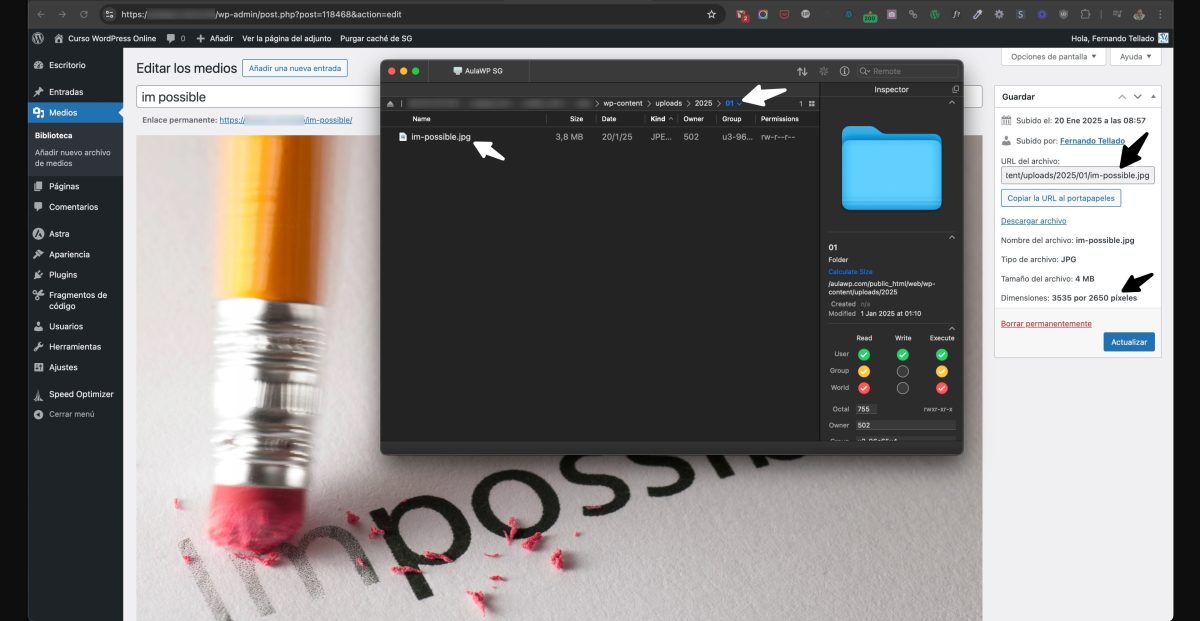 sin tamaños imagen adicionales wordpress